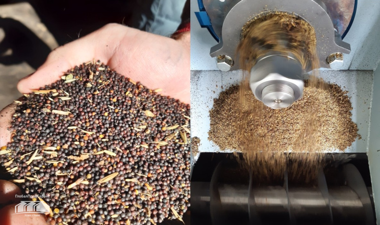 Ценность жмыха и протеина, их получение в процессе переработки масличных  культур